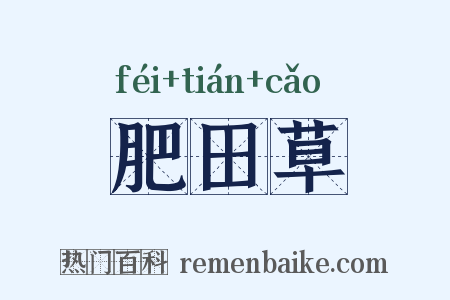 肥田草是什么意思的图片